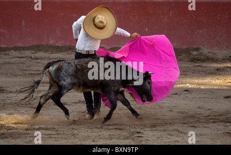 Ein Stierkämpfer, tragen einen mexikanischen Sombrero, Bullfighs in in Tlaxcala, Mexiko, 13. November 2008. Stockfoto