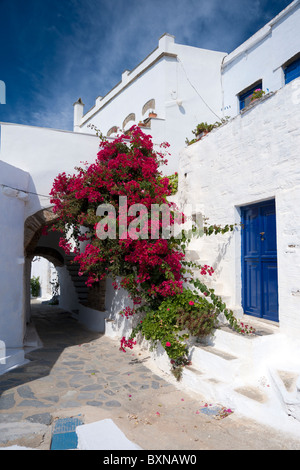 Rote Bougainvillea blühen gegen die Wand eines typischen Kykladen-Hauses auf der griechischen Insel Tinos. Stockfoto