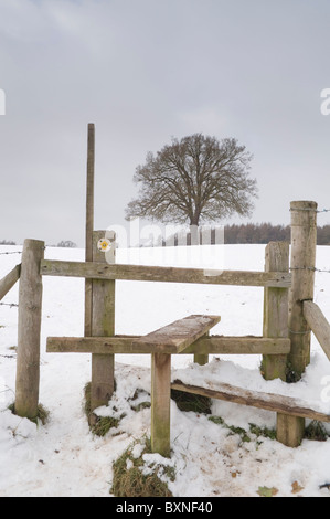 Eine Landschaft aus Holz Stil zu einem öffentlichen Wanderweg und rechts des Weges unter Winterschnee in der Chilterns Buckinghamshire UK Stockfoto