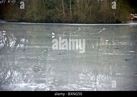 Eis auf einem gefrorenen See Stockfoto