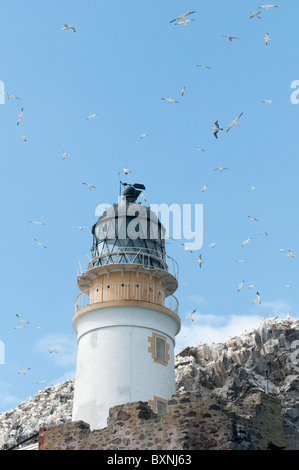 Bass Rock Schottland Stockfoto