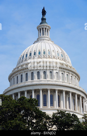 Capitol Hill Building Kuppel Closeup mit blauen Himmel und Bäume, Washington DC Stockfoto