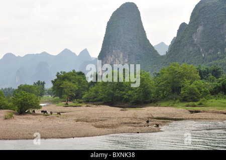 Schöne Landschaft mit den vielen Karst Hügeln entlang Li-Fluss, Guilin Bereich in Südchina Stockfoto