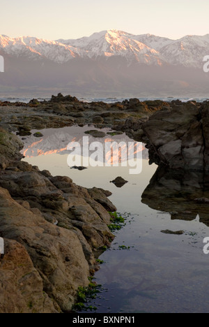 Rock Pool Reflexion der Kaikoura Ranges. Kaikoura, Neuseeland Stockfoto