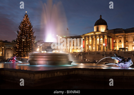 Sonnenuntergang am Trafalgar Square, mit Blick auf die Nationalgalerie durch den Springbrunnen und Weihnachtsbaum, London, Uk Stockfoto