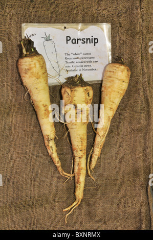 Pastinaken auf Sackleinen Hintergrund mit Aktionär Bauernhof erklärende Zeichen Stockfoto