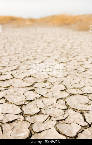 Nahaufnahme von gerissenen Gelände in Wüste mit Sand oder trockenem Rasen im Hintergrund Stockfoto