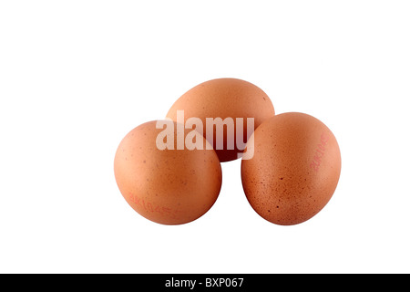 Drei Hühner Eiern isoliert auf weißem Hintergrund Stockfoto