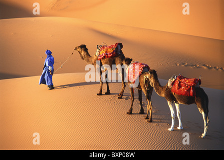 Erg Chebbi, Merzouga, Marokko Stockfoto