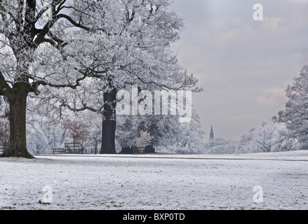 Strengem Frost Frost klammert sich an den Bäumen in Burghley Park, mit Blick auf eine der die Kirchtürme in Stamford Stockfoto