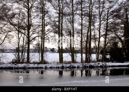 Erlen von gefrorenen Kanal im winter Stockfoto