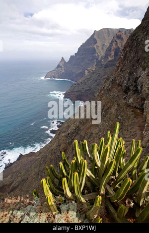 Anaga-Gebirge, Las Carboneras, Spanien Stockfoto