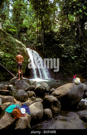 Leute, Schwimmen, La Cascade aux Ecrevisses, Langusten, Krebse Wasserfall fällt, Wasserfall, Basse-Terre, Guadeloupe, Französische Antillen, Frankreich Stockfoto