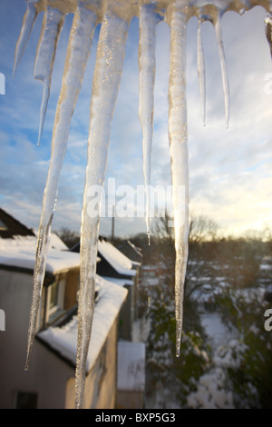 Großen Eiszapfen hängen vor einem Fenster runter vom Dach. Winter. Stockfoto