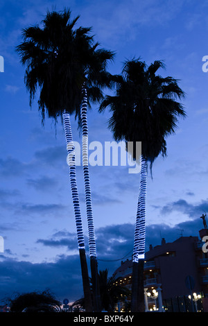 Palmen, dekoriert mit Lichtschläuche für Weihnachten in Las Americas, Teneriffa-Kanarische Inseln-Spanien Stockfoto