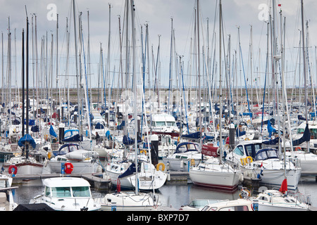 Yachten in der Marina am Hafen von Dun Laoghaire, Ostküste Irlands Stockfoto