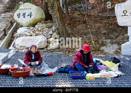 Frauen verkaufen Kastanien Girimsa buddhistische Tempel, Südkorea Stockfoto