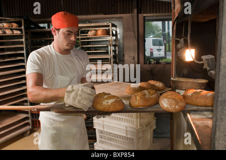 Handwerker-Sauerteig-Bäcker entfernen frisch gebackenes Brot aus einer Woodfired Ofen Stockfoto