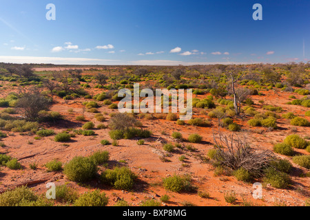 Rote sandige Wüste Land an der Straße zwischen Roxby Downs und Bopechee in der South Australian outback Stockfoto