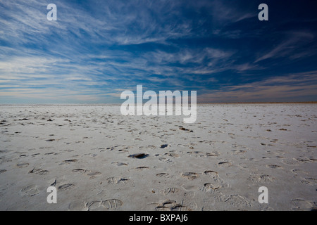 Weite des Salzes in Lake Eyre South, Oodnadatta Track, South Australia Stockfoto