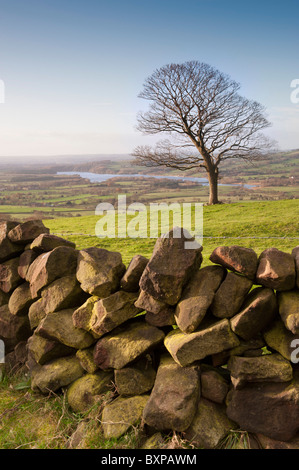 Tittersworth Reservoir der Rotaugen-Staffordshire Stockfoto