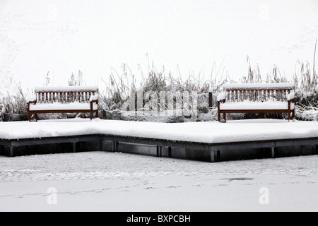 Winter in einem Park, schneebedeckten innen- und Außenbereiche. Ruhige, einsame Atmosphäre. Gruga-Park, Essen, Deutschland Stockfoto