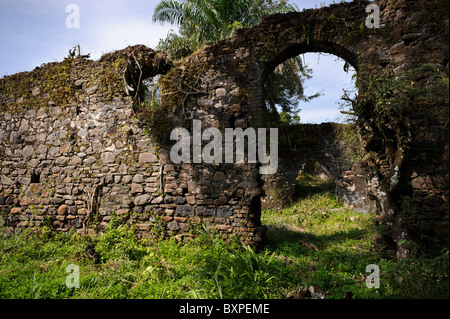 Zerstörten Mauern auf Bunce Island, Sierra Leone. Stockfoto