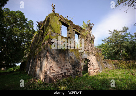 Zerstörten Mauern auf Bunce Island, Sierra Leone. Stockfoto