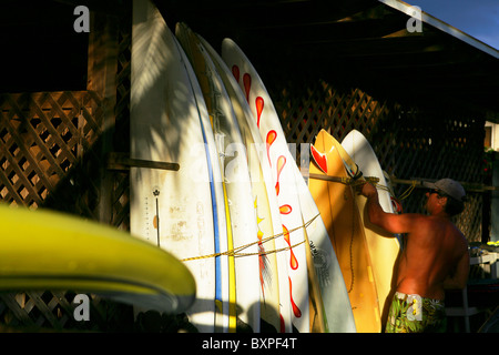 Eine Surfer immer seinem Surfbrett im Morgengrauen aus dem Rack bei Rainbow Surf hostel in Paia auf Maui Hawaii Stockfoto