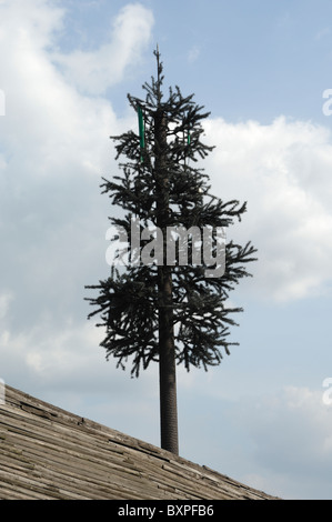 Ein Mobiltelefon Mast als Baum verkleidet Stockfoto