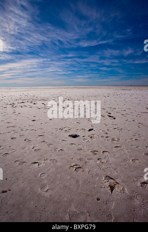 Weite des Salzes in Lake Eyre South, Oodnadatta Track, South Australia Stockfoto