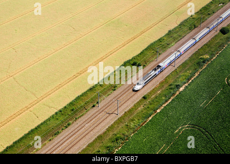 Transporte: "TGV" high-Speed-Bahn auf dem Lande Stockfoto