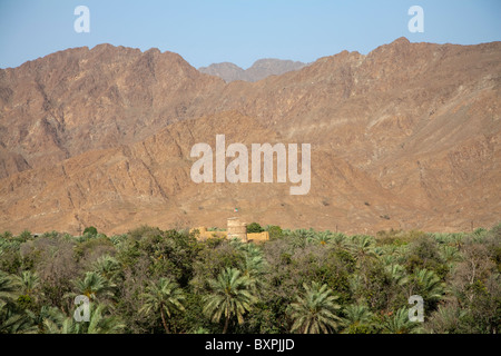 Oase von Al Dhaid, Hajar-Gebirge, Sharjah, Vereinigte Arabische Emirate Stockfoto