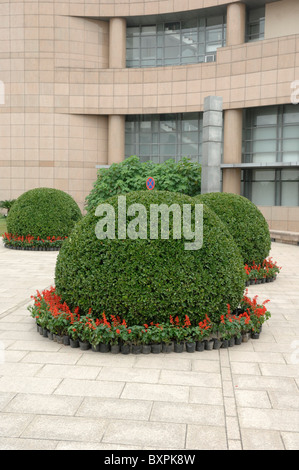 Yangzhou-Block-Druckerei-Museum in der chinesischen Provinz Jiangsu Stockfoto