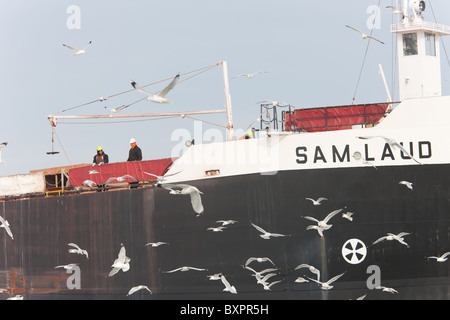 Crew-Mitglieder stehen auf dem Deck des Frachters M/V Sam Laud im Winter. Stockfoto