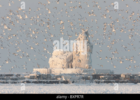 Möwen fliegen vor dem Eis bedeckt Cleveland Hafen West Pierhead Licht. Stockfoto