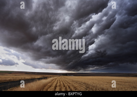 Der Herbststurm nähert sich auf Feldern nach der Ernte. Montana, USA Stockfoto