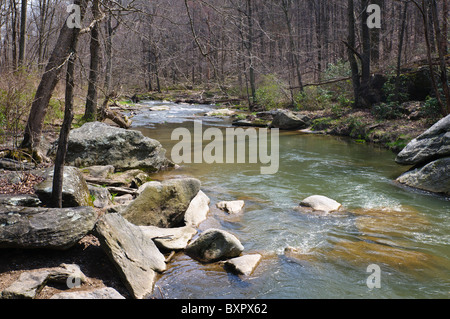 Kleine FallsRiver, Parkton, Maryland, USA Stockfoto