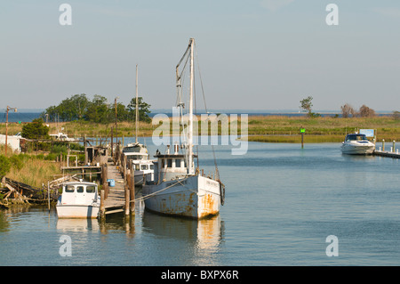 Angelboote/Fischerboote, Knapps Narrows, Tilghman Island, Talbot County, Chesapeake Bay, Maryland, Vereinigte Staaten von Amerika, Nordamerika Stockfoto