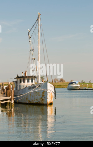 Angelboote/Fischerboote, Knapps Narrows, Tilghman Island, Talbot County, Chesapeake Bay, Maryland, Vereinigte Staaten von Amerika, Nordamerika Stockfoto