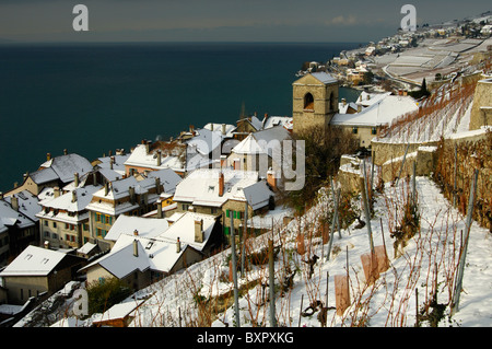 Saint-Saphorin zwischen winterliche Weinberge und den Genfer See, Lac Leman, in die UNESCO-Welterbe Lavaux, Schweiz Stockfoto