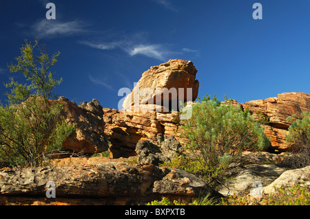Erodierte Sandsteinformationen in den Cederbergen, Provinz Westkap, Südafrika Stockfoto