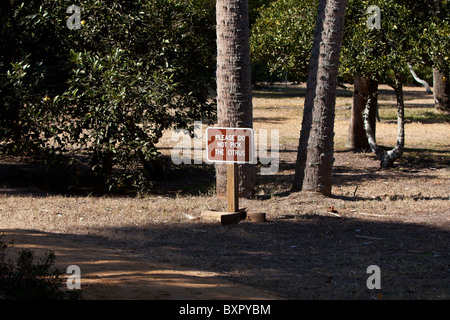 Schild Warnung nicht zu die Zitrusfrüchten abholen. Stockfoto