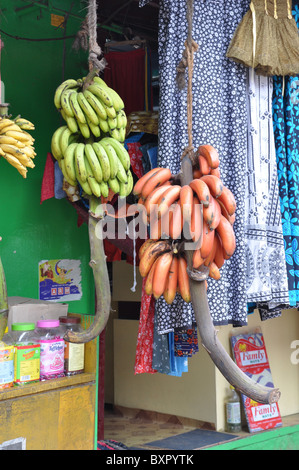 Frischen Haufen Bananenstauden gelb und rot für den Verkauf in Kerala Indien Stockfoto