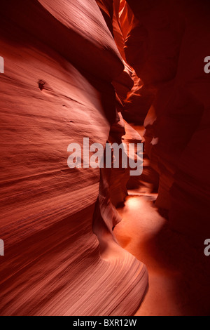 Upper Antelope Canyon Slotcanyon in der Nähe von Page Arizona Stockfoto
