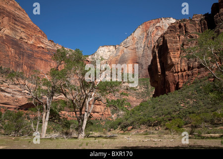 Kabel Berg Zion Canyon Nationalpark Utah USA von der Bank des Flusses Jungfrau Stockfoto