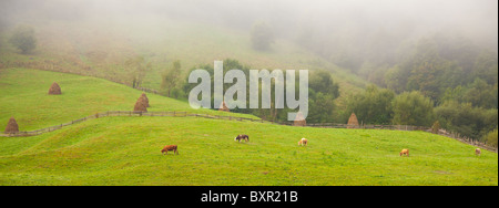 Panorama von einer schönen Landschaft im Apuseni-Gebirge, Rumänien. Stockfoto