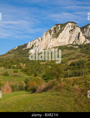 Herbstliche Landschaft des Vulcan-Gebirges in Rumänien. Stockfoto