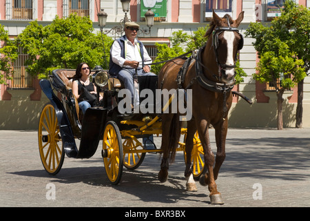 Traber zieht Kutsche & Touristen. Plaza del Triunfo, vorne Diputacion de Sevilla, Casa De La Provincia. Sevilla Spanien Stockfoto