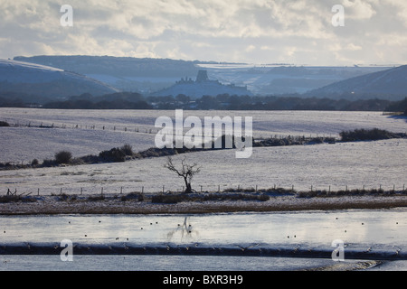 Schneebedeckte Landschaft blicken nach Corfe Castle von Arne. Purbeck, Dorset, UK. Stockfoto